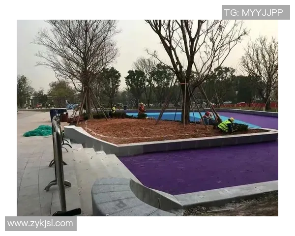 探索三梭足球的魅力与技巧提升之道让你在球场上脱颖而出